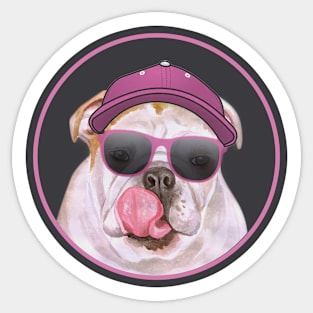 Cool Bulldog in Pink Shades! Especially for Bulldog owners! Sticker